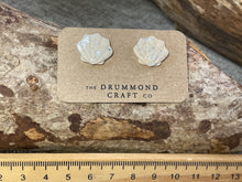 Load image into Gallery viewer, Cream and silver shell studs