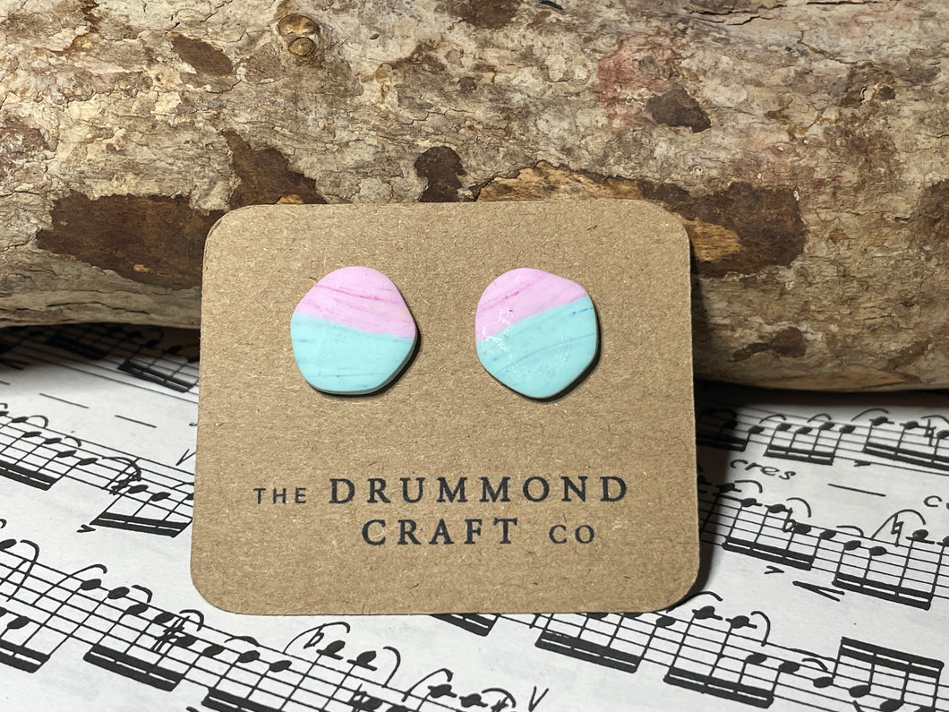 Pastel pink and blue large studs